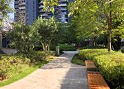 领誉华府-环境绿化