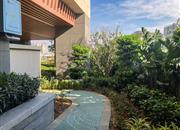 德弘基创客居-环境绿化