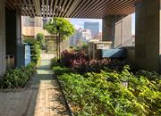 德弘基创客居-环境绿化