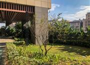 德弘基创客居-环境绿化