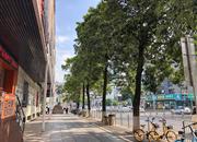 裕宝大厦-环境绿化