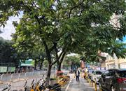 裕宝大厦-环境绿化