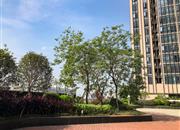 福城新纪元-环境绿化