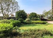 福城新纪元-环境绿化