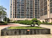 福城新纪元-环境绿化