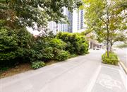 安峦公馆-环境绿化