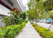 安峦公馆-环境绿化