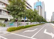 安峦公馆-环境绿化