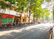 曙光花园-环境绿化