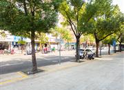 曙光花园-环境绿化