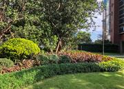 星河天地-环境绿化