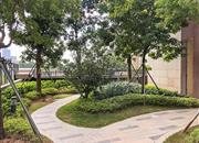 星河天地-环境绿化