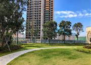 星河天地-环境绿化