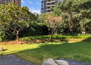 星河天地-环境绿化