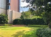 星河天地-环境绿化