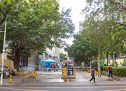 悠然居-环境绿化