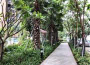 富宏凤凰天誉-环境绿化