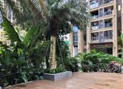 富宏凤凰天誉-环境绿化