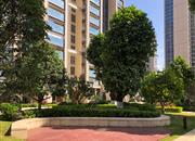 都市茗荟花园(一期)-环境绿化