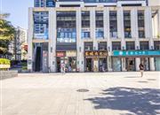 万科蛇口公馆-环境绿化