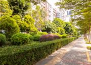 金色海琴苑-环境绿化