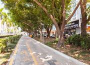 金色海琴苑-环境绿化