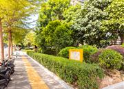 金色海琴苑-环境绿化