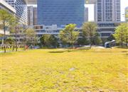 广博星海华庭-环境绿化