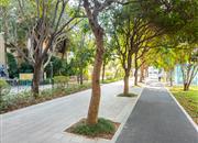 广博星海华庭-环境绿化