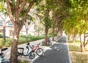 弘都世纪公寓-环境绿化