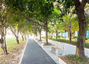 弘都世纪公寓-环境绿化