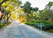 四海宜家-环境绿化