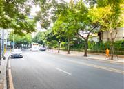 四海宜家-环境绿化