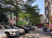 36区住宅-环境绿化