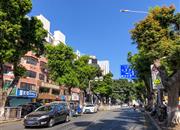 31区住宅-环境绿化