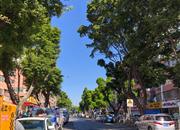 31区住宅-环境绿化