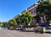 31区住宅-环境绿化