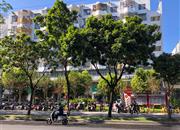 33区商住楼-环境绿化