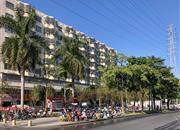 33区商住楼-环境绿化