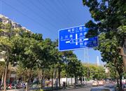 33区商住楼-环境绿化