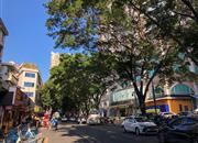 华厦楼-环境绿化