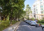 银兴苑-环境绿化