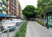 莲城花园-环境绿化