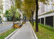 莲城花园-环境绿化