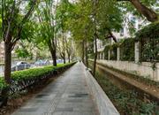 莲城花园-环境绿化