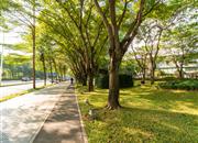 帝景园（二期）-环境绿化