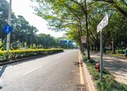 帝景园（二期）-环境绿化