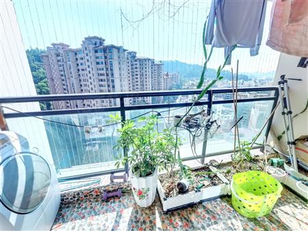 桃源居十六区-阳台