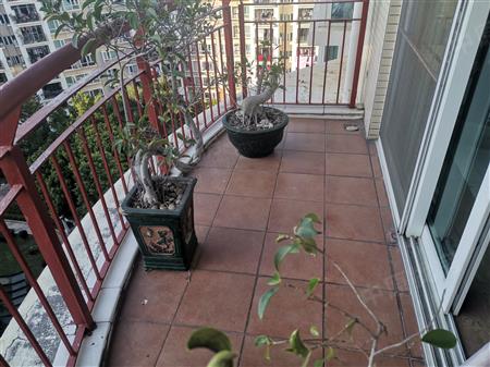 鹏兴花园（三期）-阳台