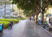 万科深南广场-环境绿化